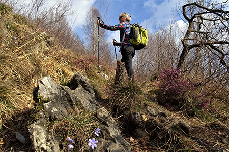 Anello Filaressa-Costone-Corna Bianca dal Monte di Nese via Salmezza il 19 marzo 2019 - FOTOGALLERY